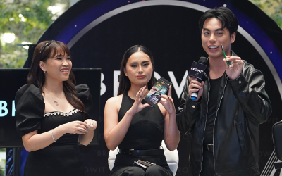 Brow It Long Stay Series